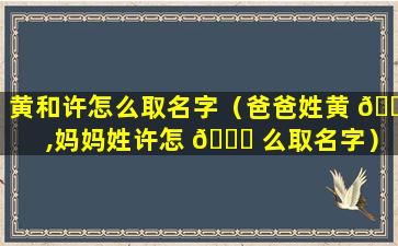 黄和许怎么取名字（爸爸姓黄 🐵 ,妈妈姓许怎 🐕 么取名字）